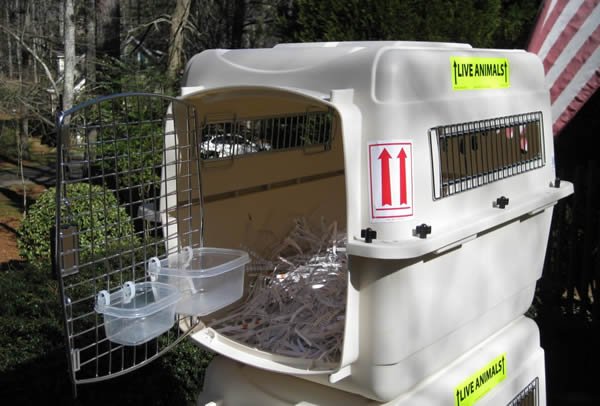Food and Water for Pet Travel - Pet Air Carrier, LLC