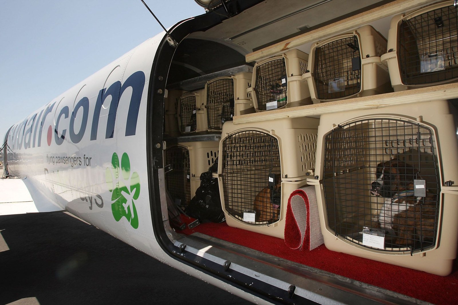 After 74 deaths in a decade, Delta bans pets from being checked like luggage