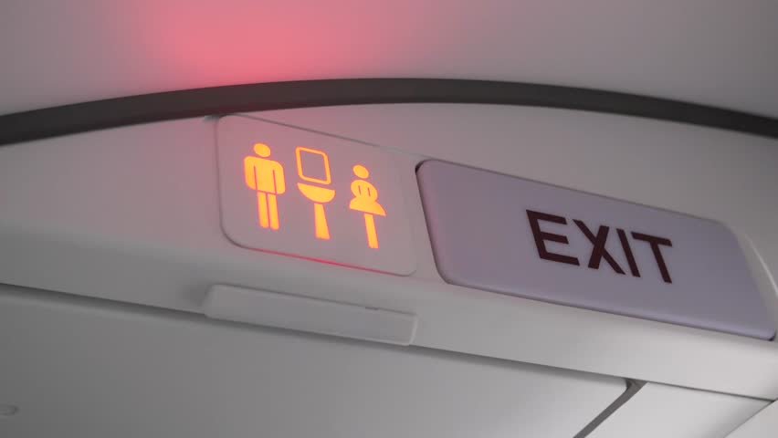 What Happens When You Flush the Toilet