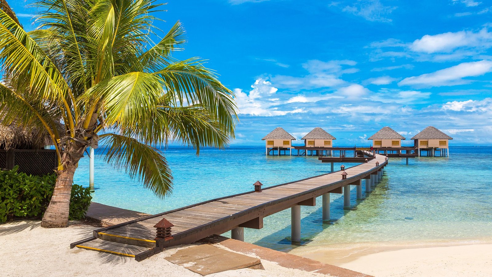 What Are Your Traveling Options During COVID-19?