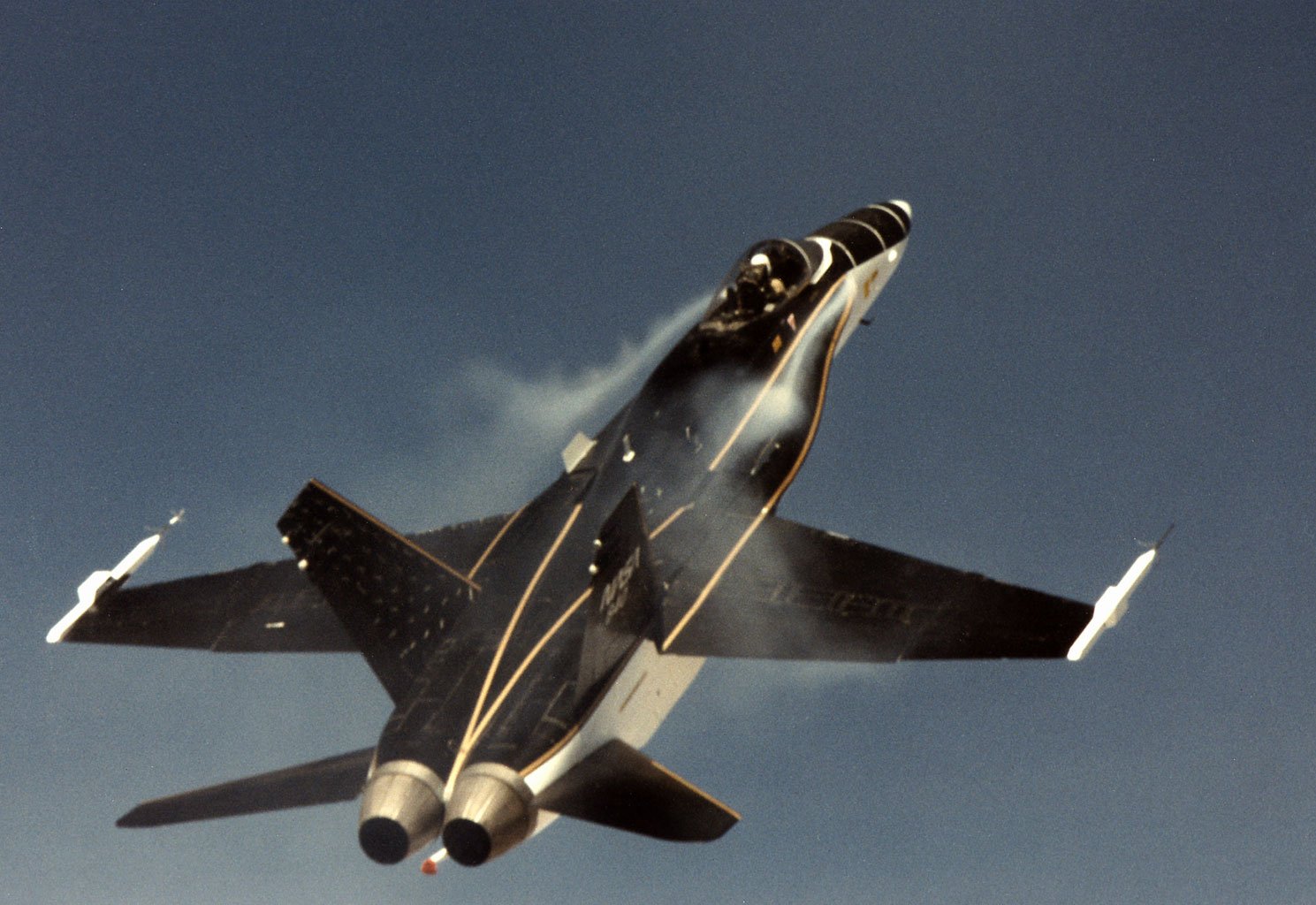 Wing Strakes