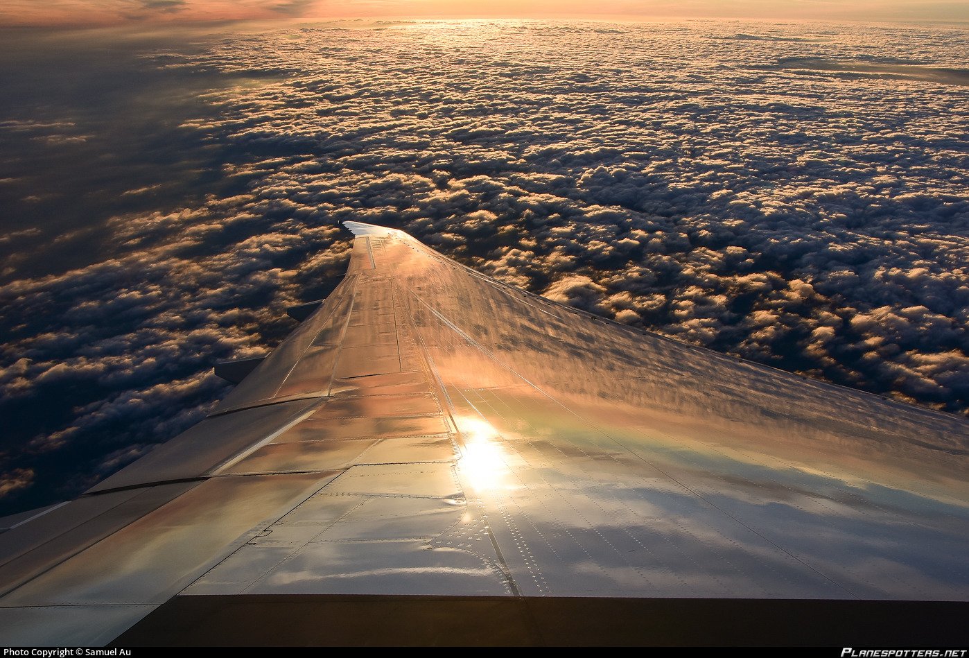 Types of Aircraft Wings