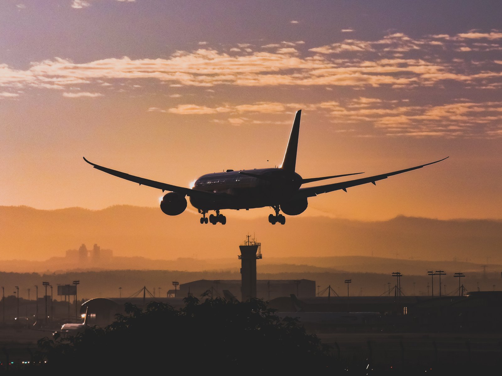 Why Are the Wings of the Boeing 787 Dreamliner Curved?