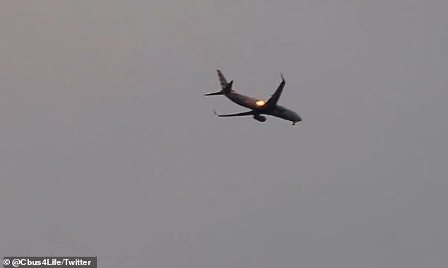 American Airlines Boeing 737 Suffers Engine Flameout After Hitting Flock of Geese
