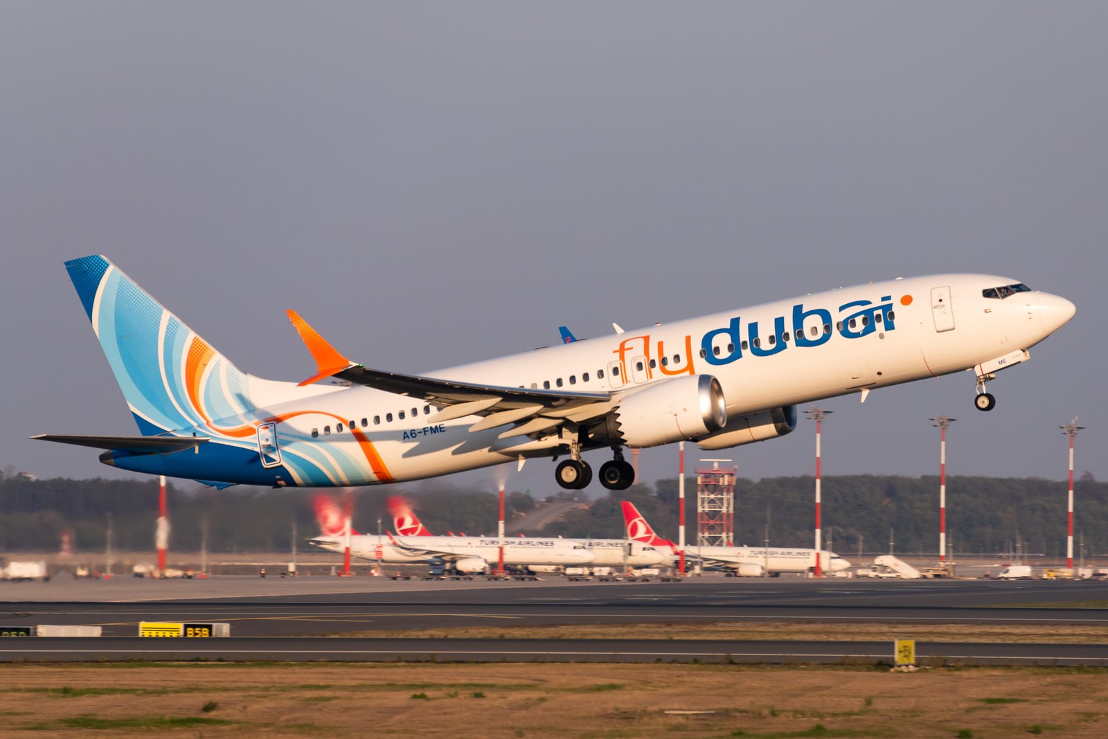 Flydubai Boeing 737-800 Encounters Engine Fire Following Bird Strike