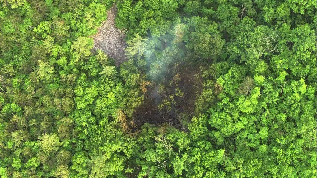 Plane Crashes in Virginia After Pilot Passes Out
