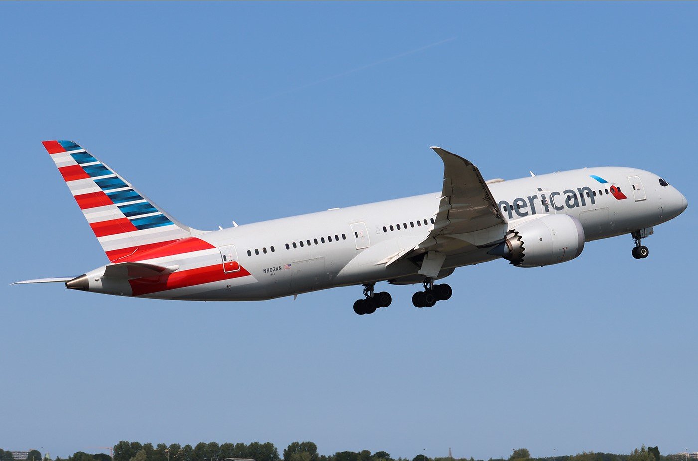 American Airlines Passengers Amazed as Service Dog Secures Three Seats for Comfortable Flight