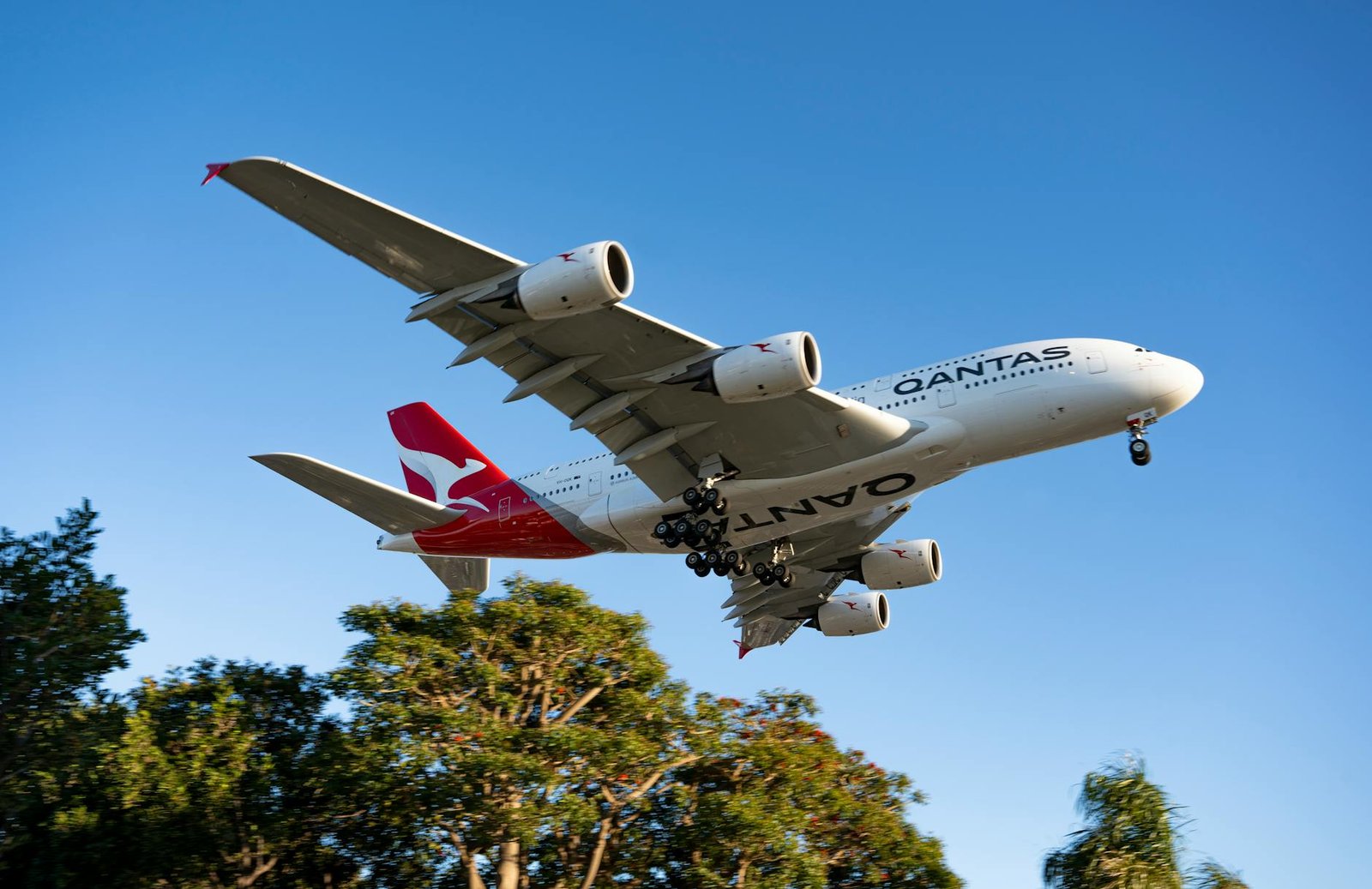 qantas airplane in flight