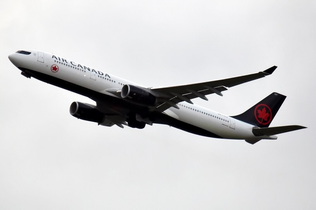 Flight Attendant's Attitude Results in Cancellation of Air Canada Flight