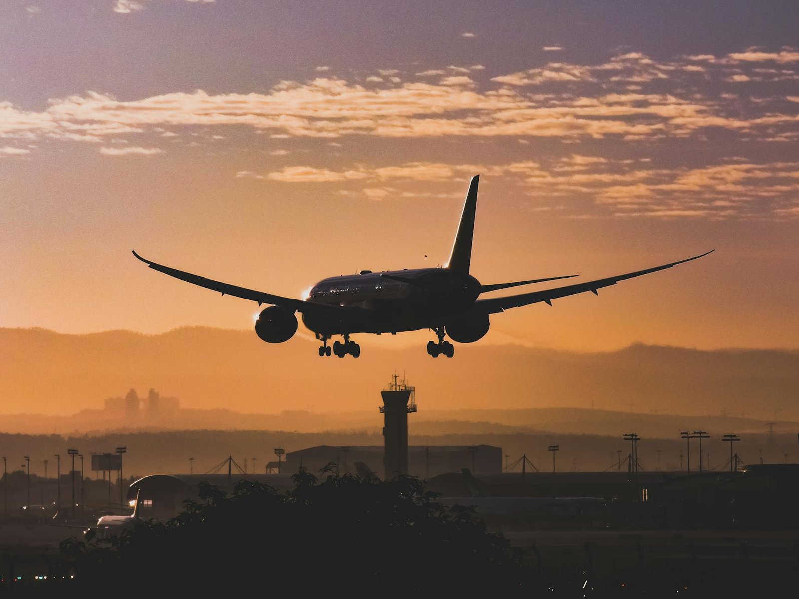 Boeing 787 Dreamliner Winglets