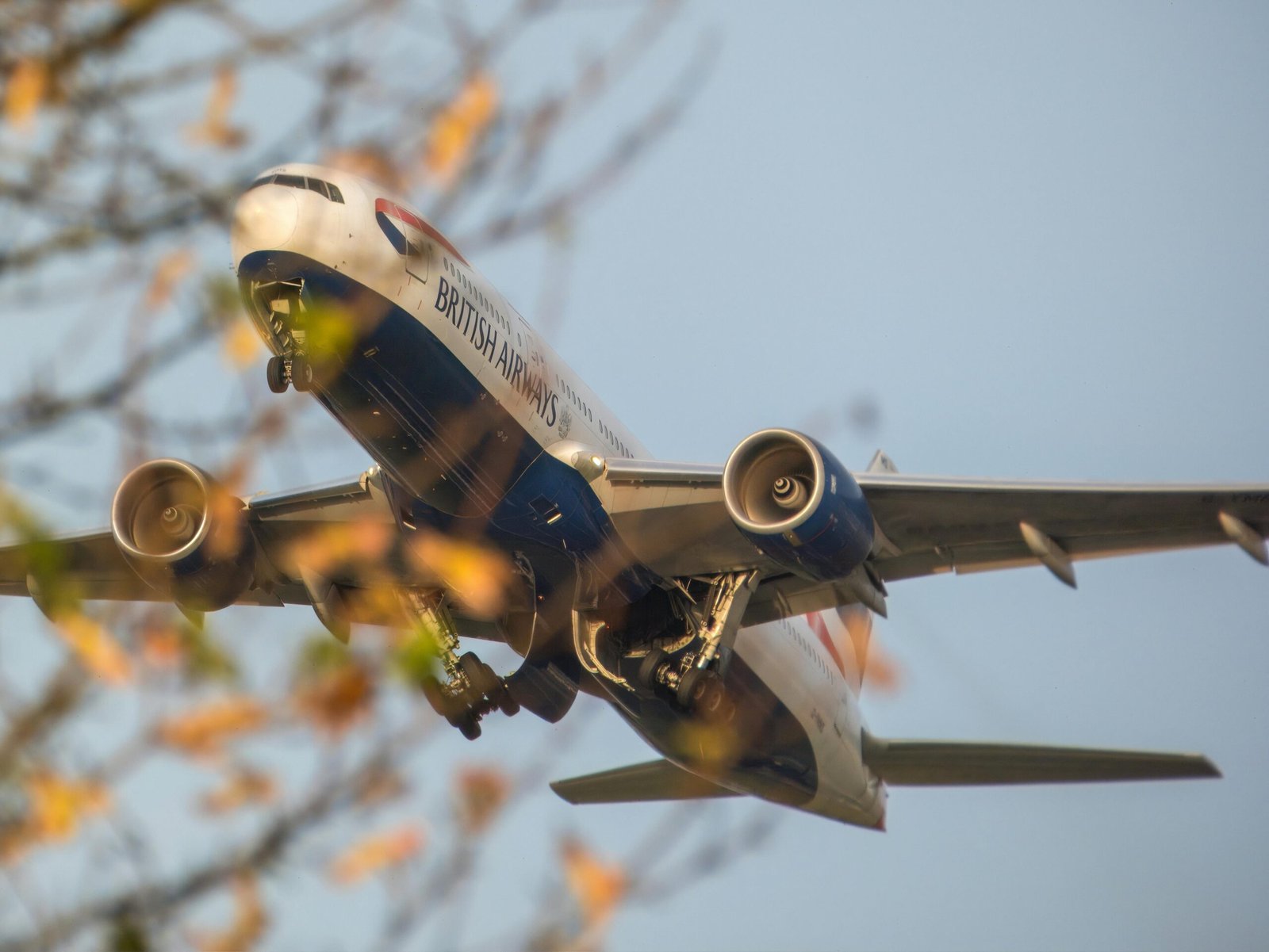 What Are the Different Types of Airlines and How Do They Operate?