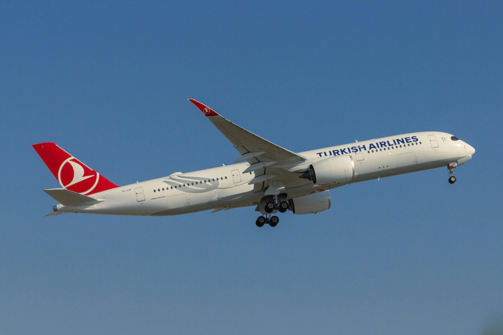 Turkish Airlines Flight Diverts After Captain Dies Mid-Flight