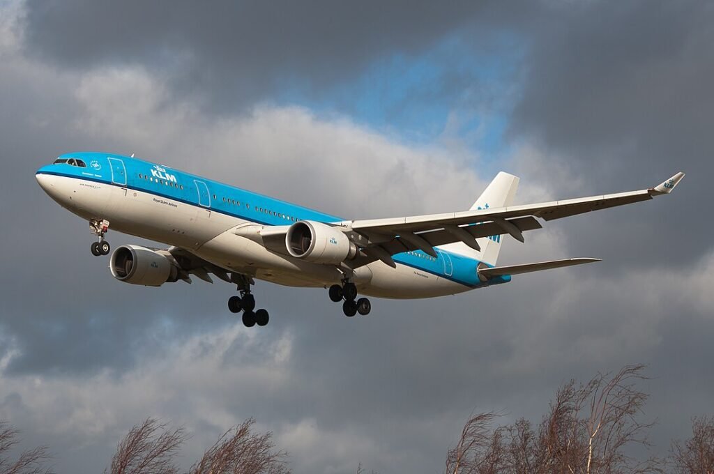 KLM Bird strike