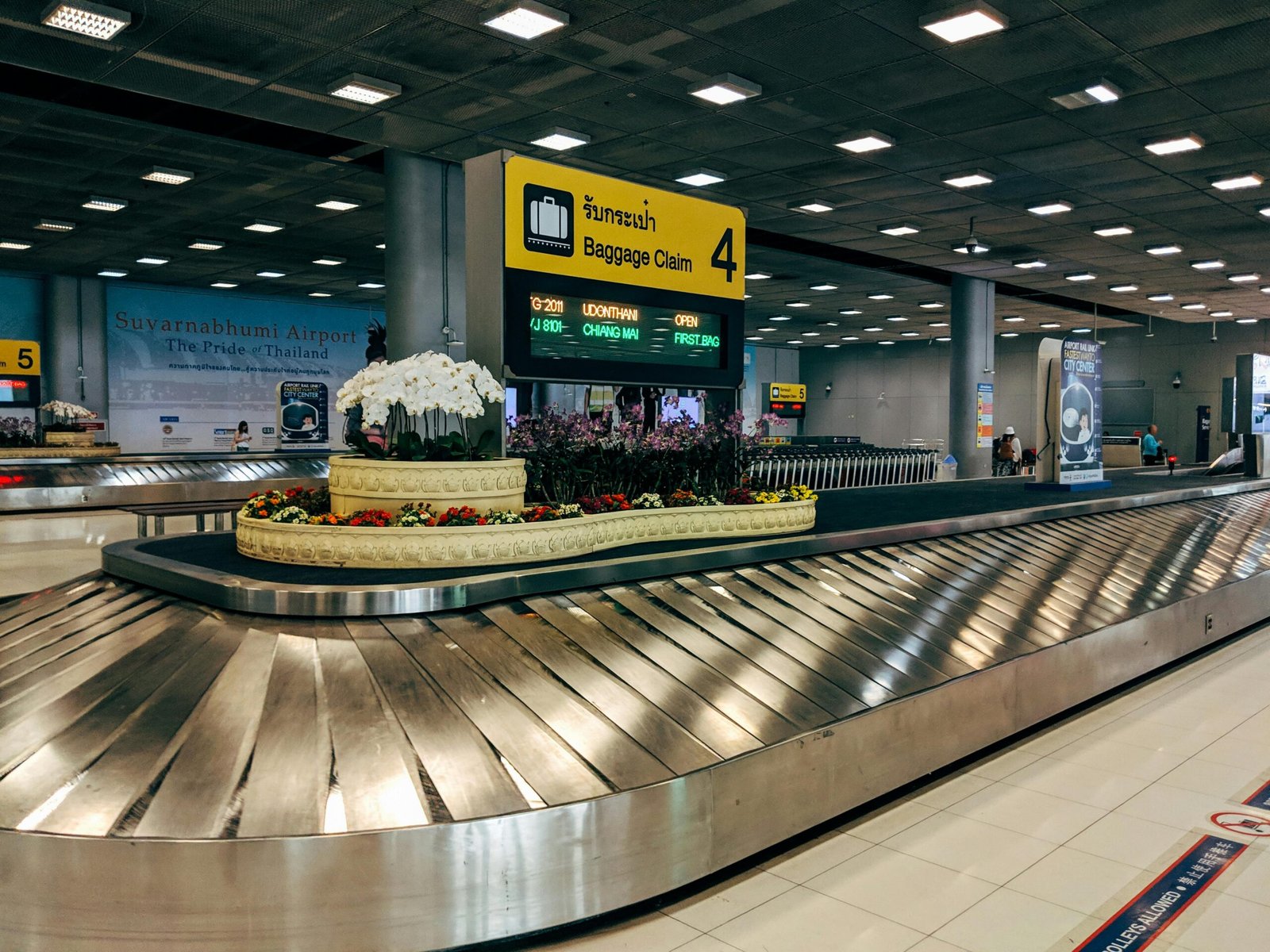 Ever Lost Your Luggage? Here’s Why It Happens and How to Handle It