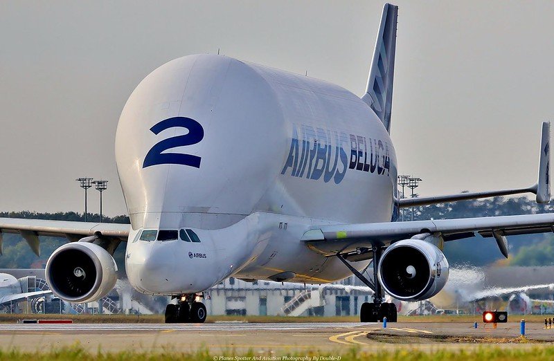 Airbus to Close Its Airbus Beluga Transport Operation