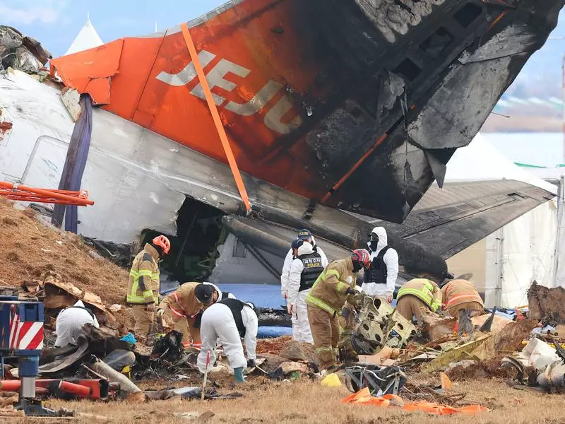 Preliminary Report on Jeju Air Crash Points to Bird Strike as Likely Cause